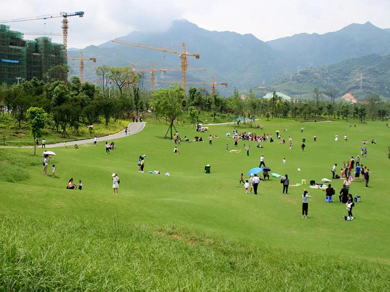 1647687390557650.jpg 2022031901.jpg